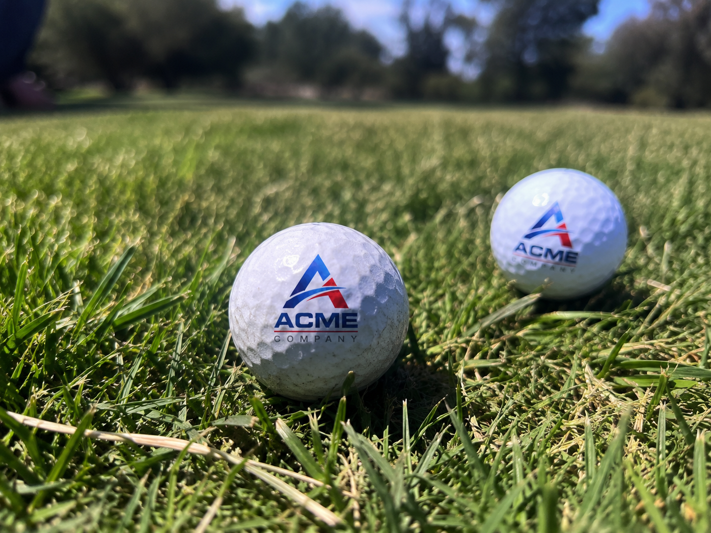 Custom Printed Golf Balls | Full Color UV Print | Personalized Golf Balls