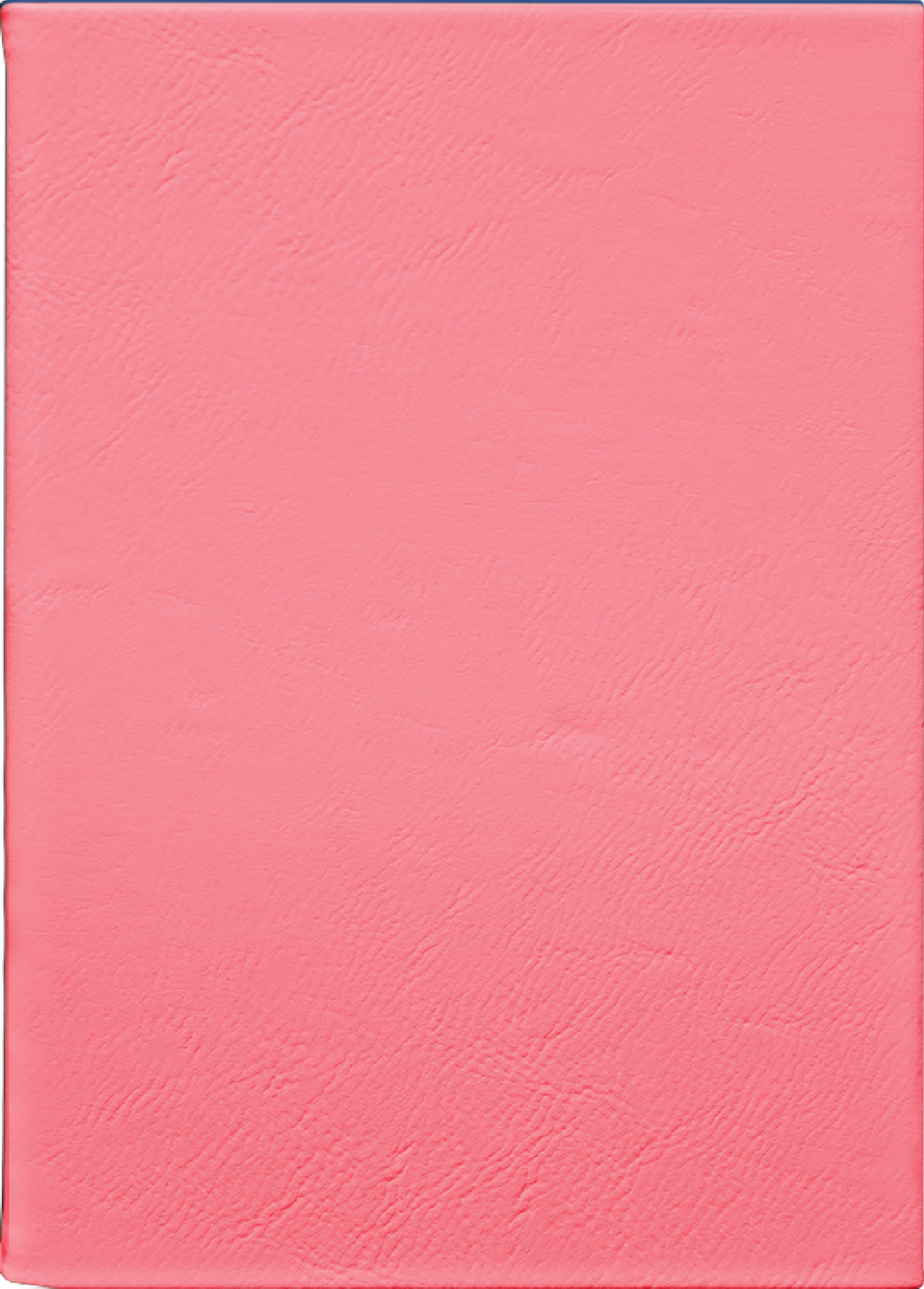 Custom Journal – Pink