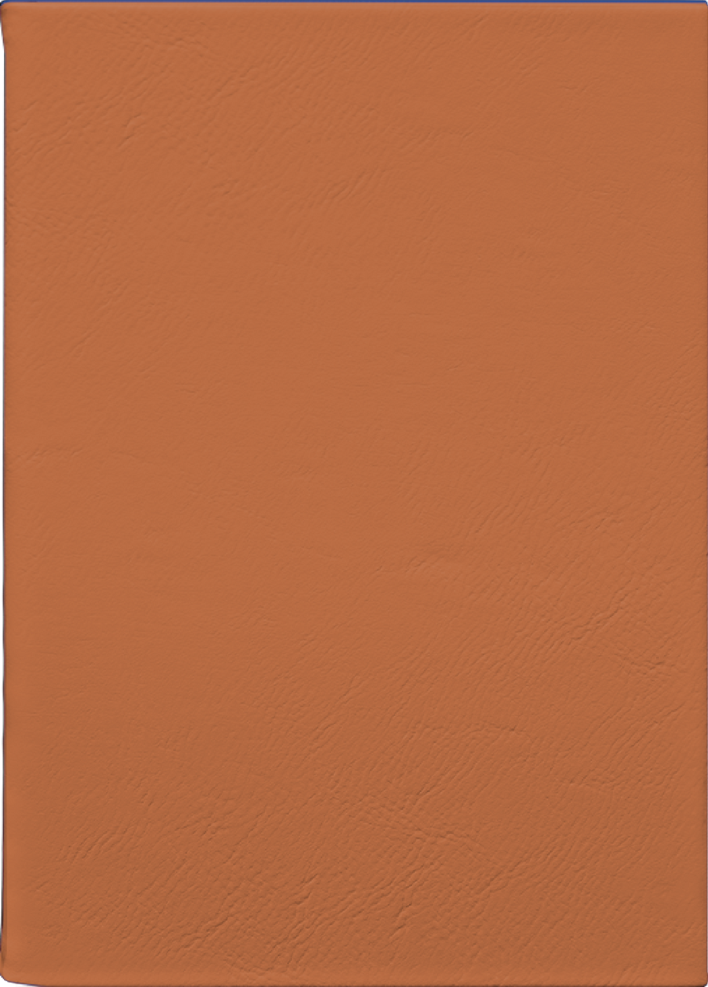 Custom Journal – Rawhide