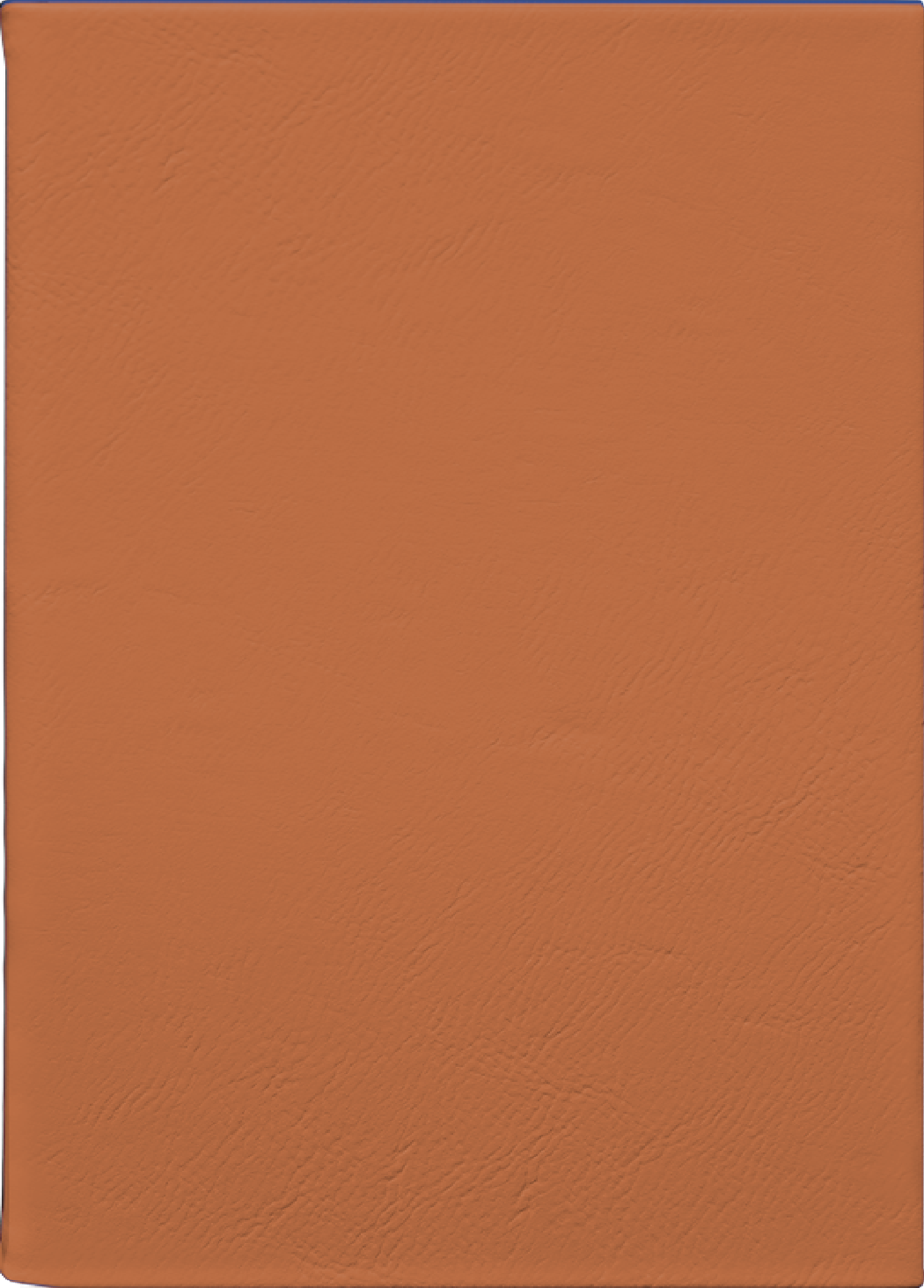 Custom Journal – Rawhide