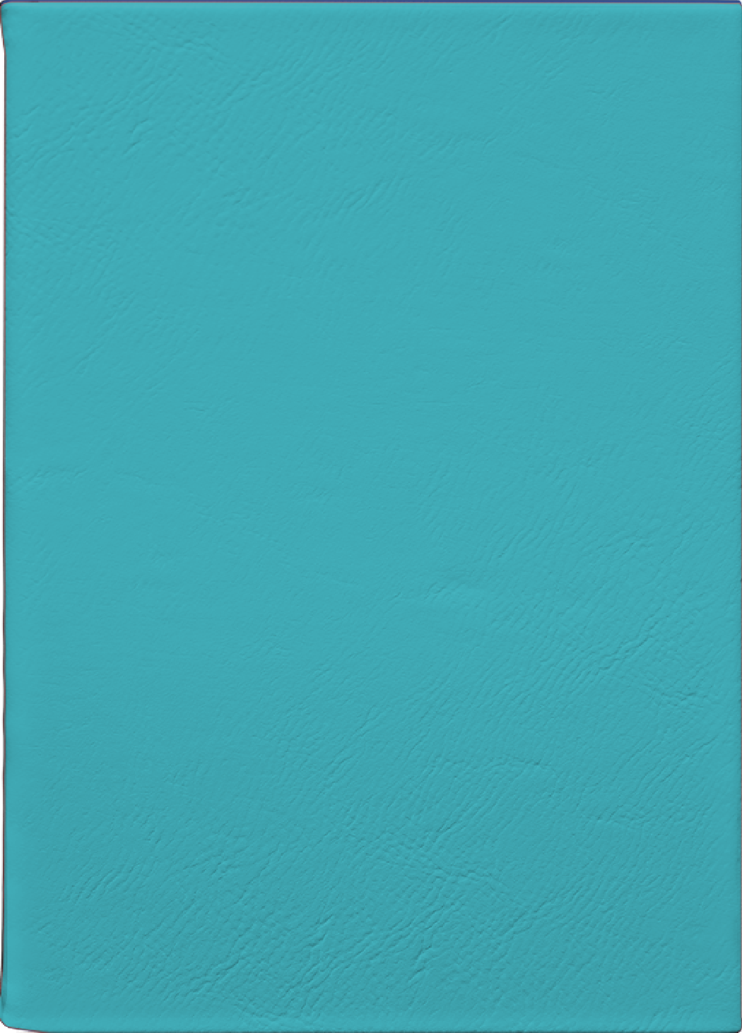 Custom Journal – Teal